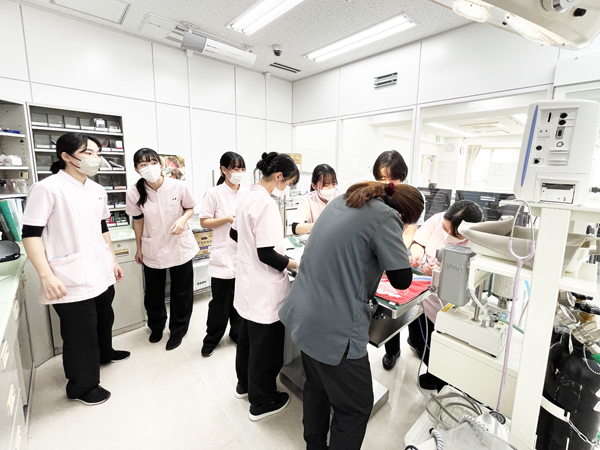 ☆歯石除去手術☆